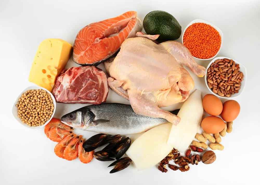 High-protein foods